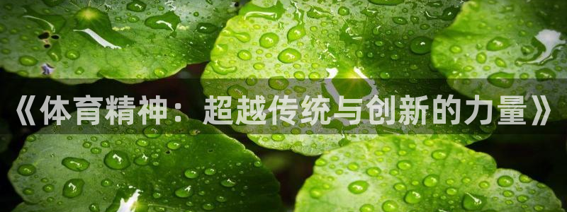 意昂5Kgame3官网登录：《体育精神：超越传统与创新的力量》