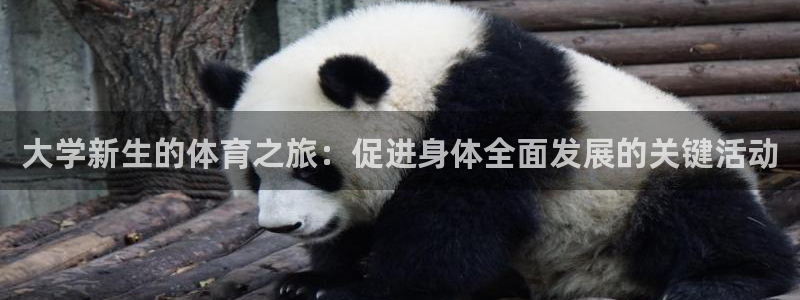意昂5Kgame体育老板是谁：大学新生的体育之旅：促进身体全面发展的关键活动