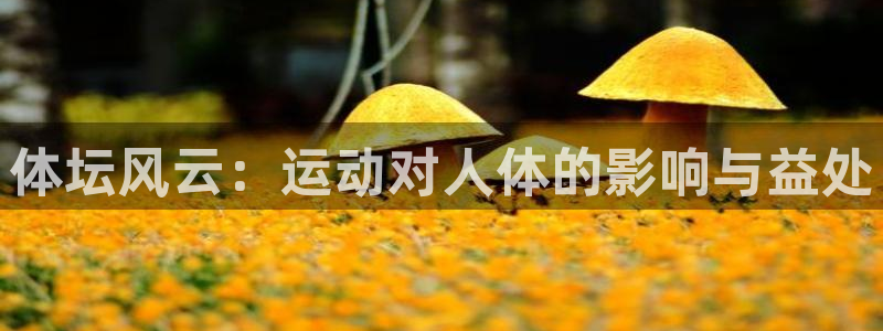 意昂5Kgame体育平台总代理：体坛风云：运动对人体的影响与益处