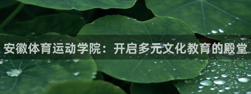 意昂5Kgame5：安徽体育运动学院：开启多元文化教育的殿堂