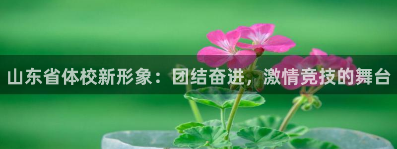 东莞市意昂5Kgame电子科技有限公司：山东省体校新形象：团结奋进，激情竞技的舞