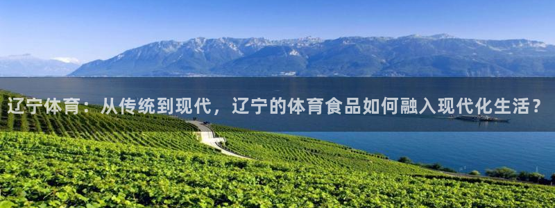 德国意昂5Kgame集团：辽宁体育：从传统到现代，辽宁的体育食品如何融入现代化生