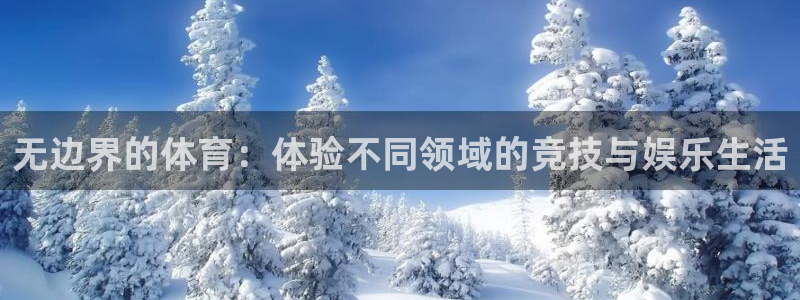 成都意昂5Kgame电子有限公司：无边界的体育：体验不同领域的竞技与娱乐生活