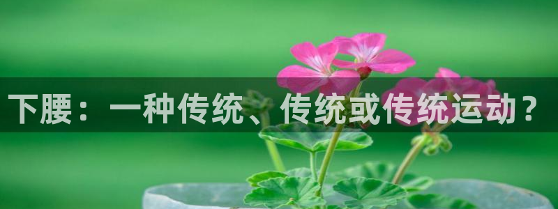 意昂5Kgame2体育：下腰：一种传统、传统或传统运动？