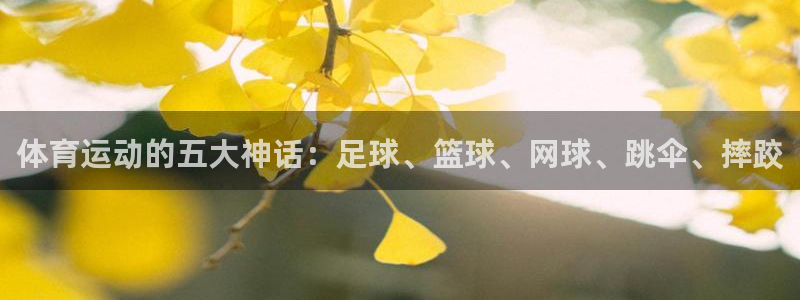 意昂5Kgame注册：体育运动的五大神话：足球、篮球、网球、跳伞、摔跤