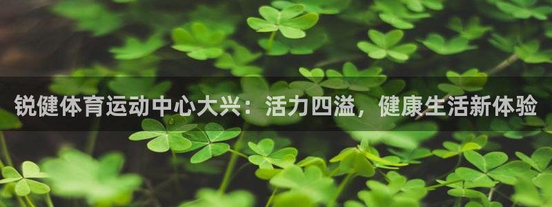 意昂5Kgame体育官网登录：锐健体育运动中心大兴：活力四溢，健康生活新体验