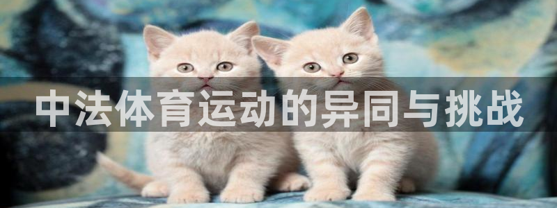 意昂5Kgame股份：中法体育运动的异同与挑战