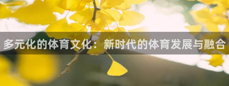 意昂5Kgame体育代理申请流程：多元化的体育文化：新时代的体育发展与融合