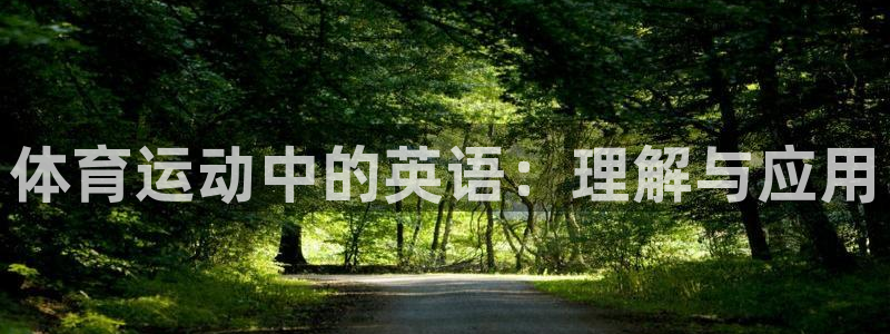 意昂5Kgame2平台：体育运动中的英语：理解与应用