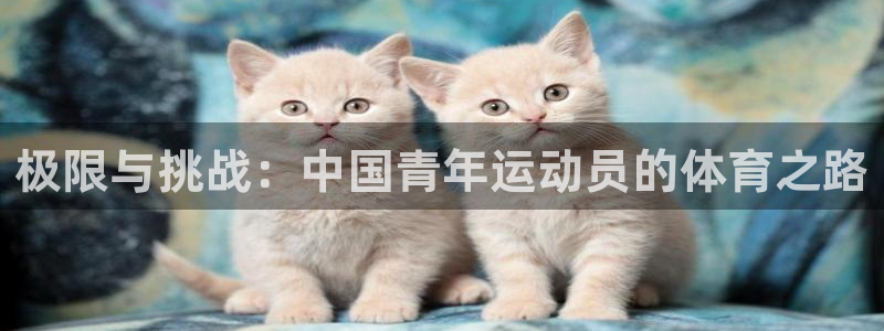 意昂5Kgame2官网：极限与挑战：中国青年运动员的体育之路