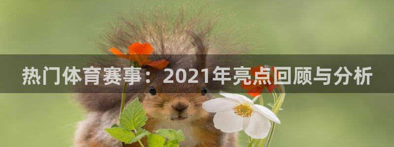 意昂5Kgame体育热门赛事有哪些：热门体育赛事：2021年亮点回顾与分析