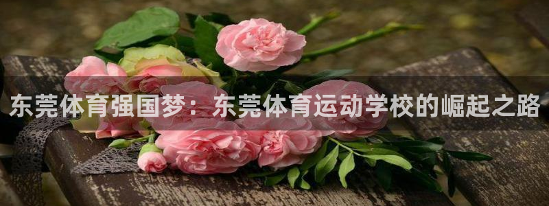 意昂5Kgame体育3在线注册：东莞体育强国梦：东莞体育运动学校的崛起之路