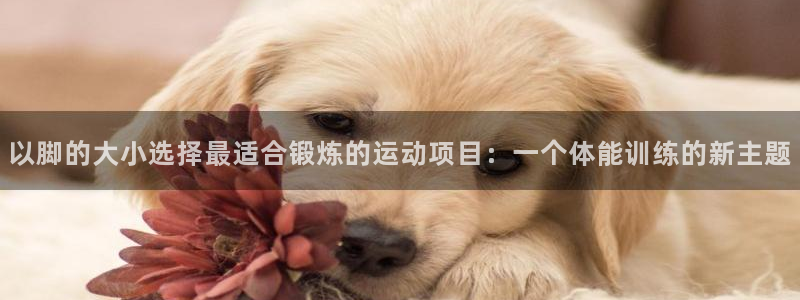 意昂5Kgame4登录：以脚的大小选择最适合锻炼的运动项目：一个体能训练的新主题