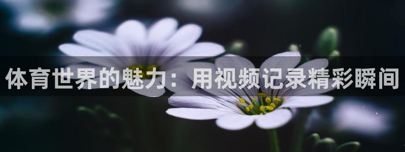 意昂5Kgame2注册：体育世界的魅力：用视频记录精彩瞬间