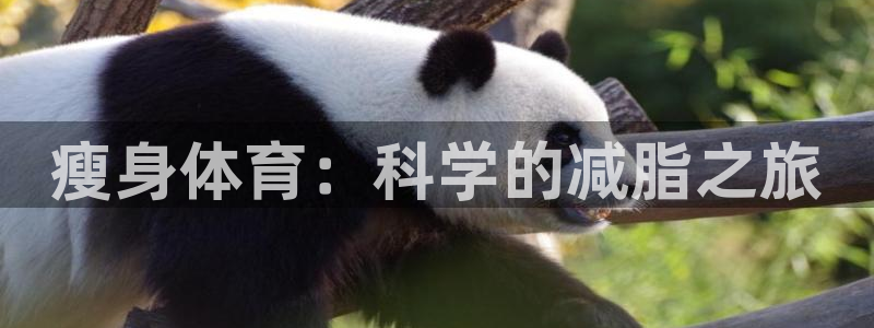 意昂5Kgame平台总代理：瘦身体育：科学的减脂之旅